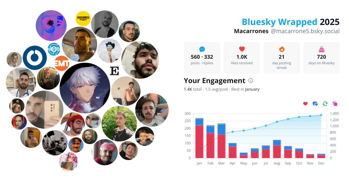 Your Bluesky Wrapped 2025 preview