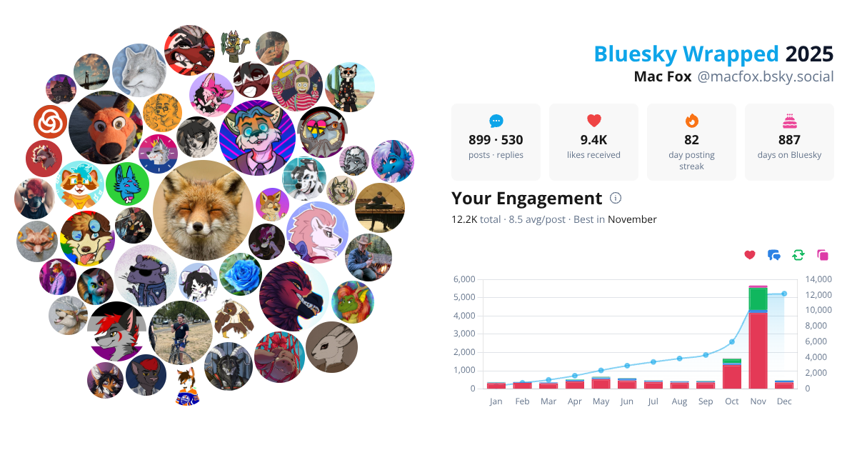 Your Bluesky Wrapped 2025 preview