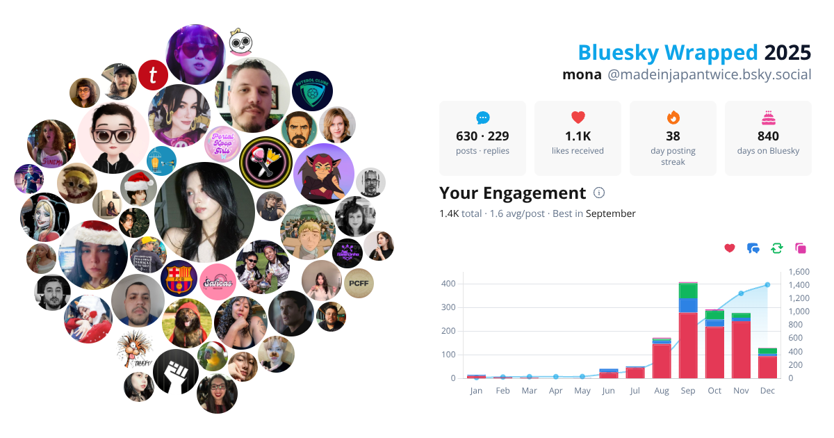 Your Bluesky Wrapped 2025 preview