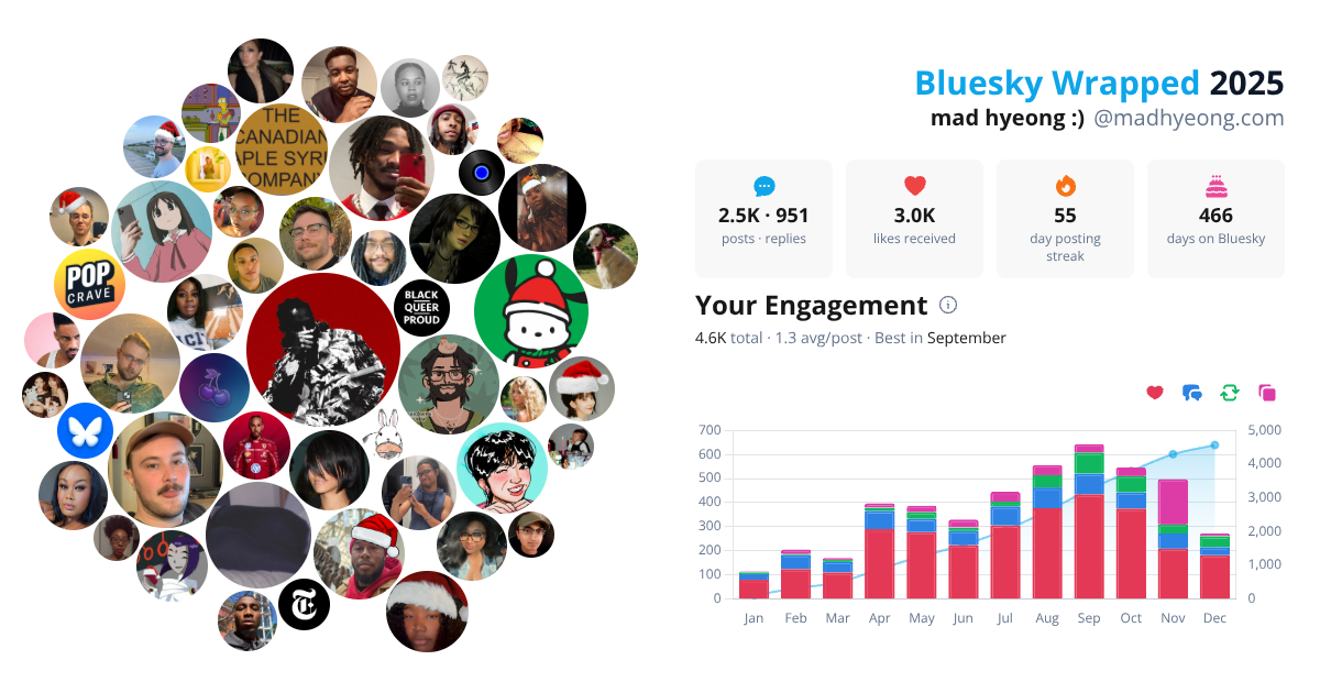 Your Bluesky Wrapped 2025 preview