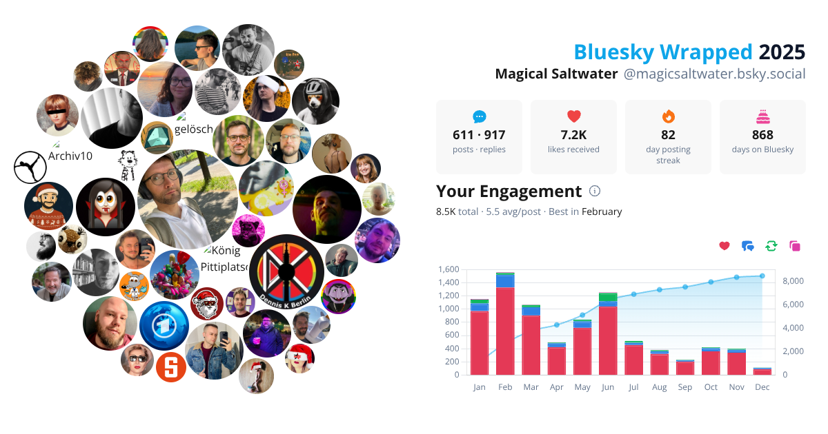 Your Bluesky Wrapped 2025 preview
