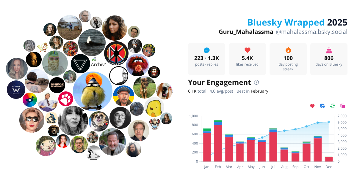 Your Bluesky Wrapped 2025 preview