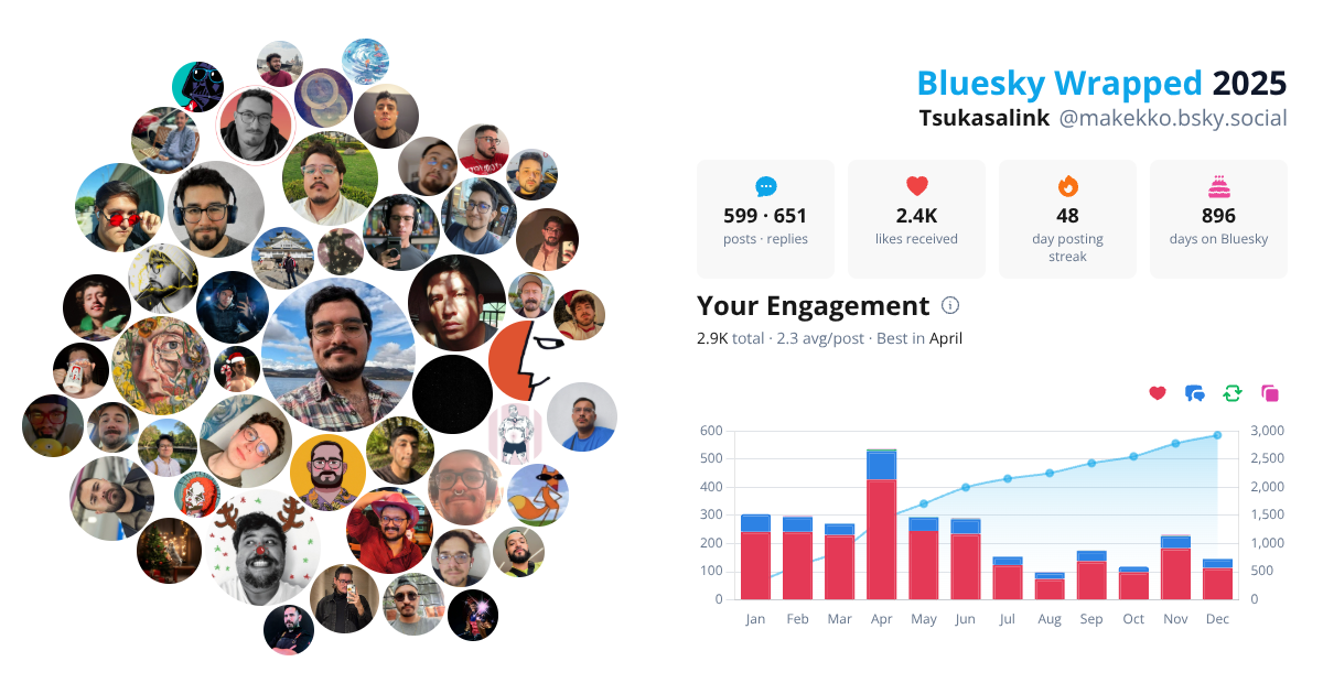 Your Bluesky Wrapped 2025 preview