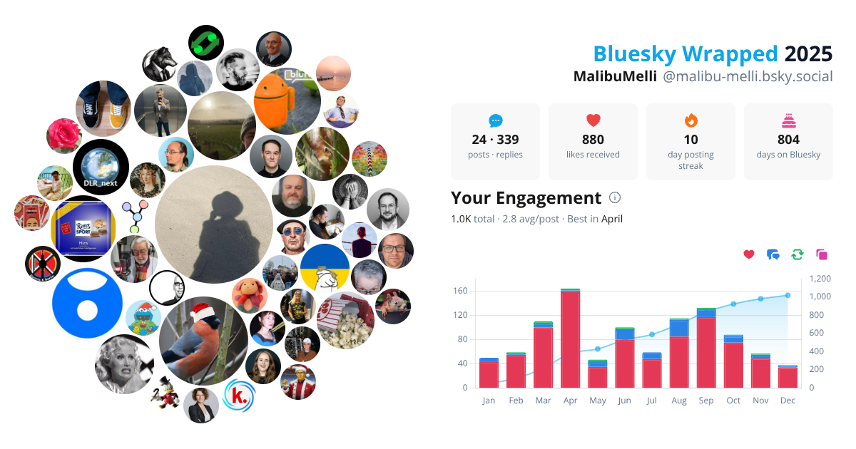 Your Bluesky Wrapped 2025 preview