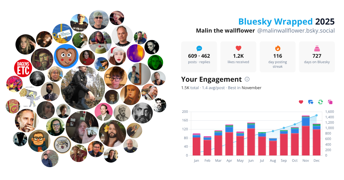 Your Bluesky Wrapped 2025 preview