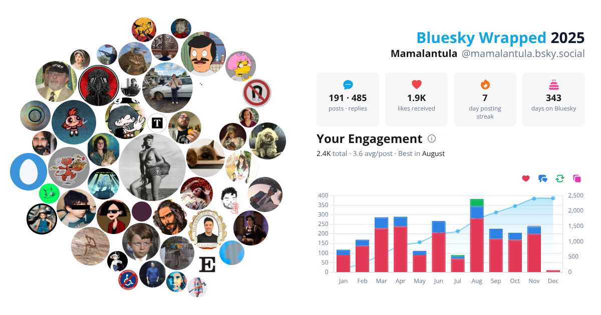 Your Bluesky Wrapped 2025 preview