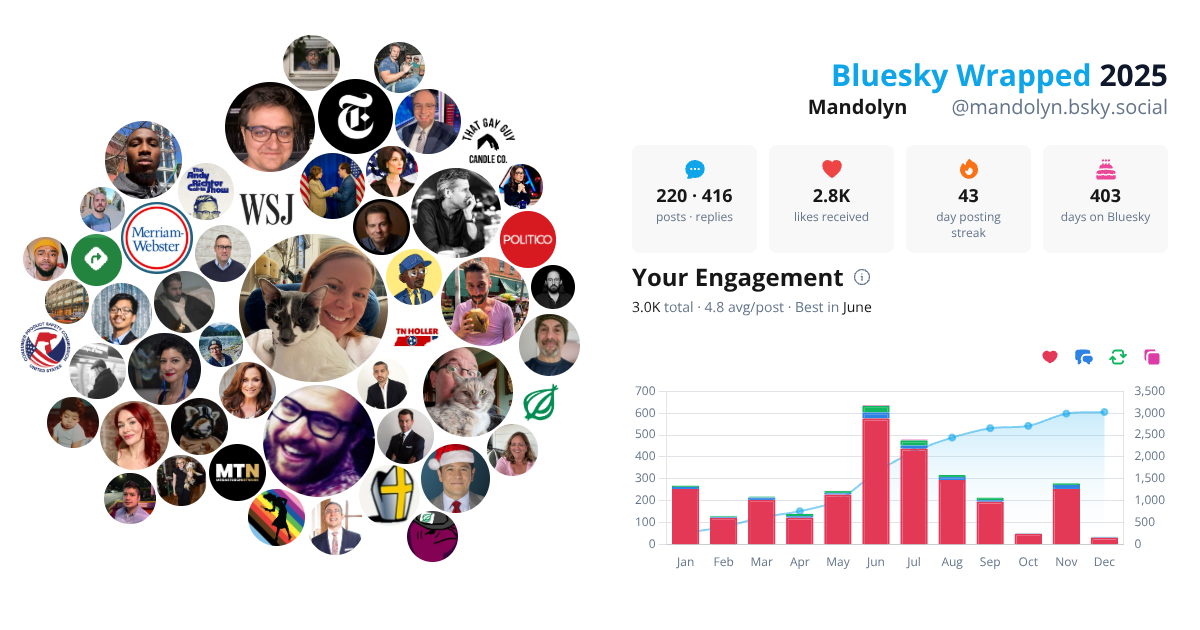 Your Bluesky Wrapped 2025 preview