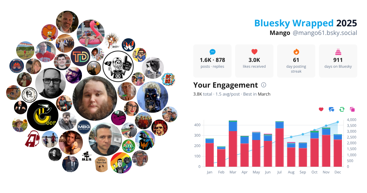 Your Bluesky Wrapped 2025 preview