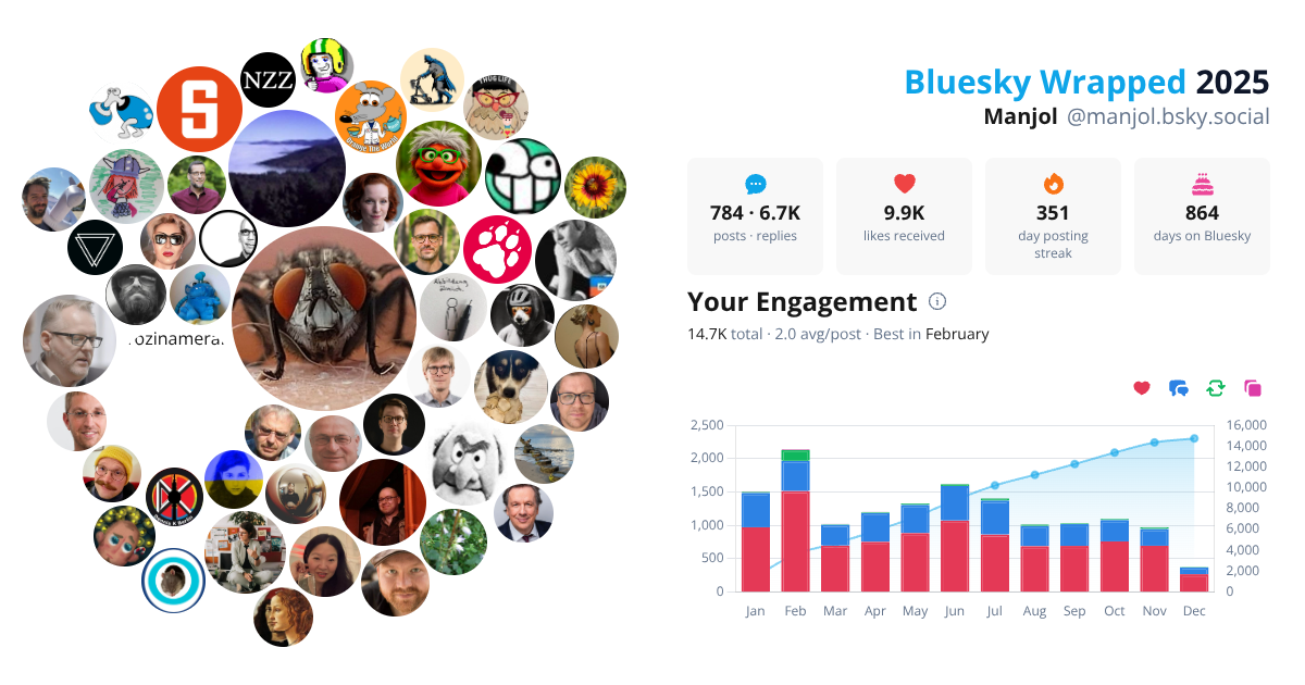Your Bluesky Wrapped 2025 preview
