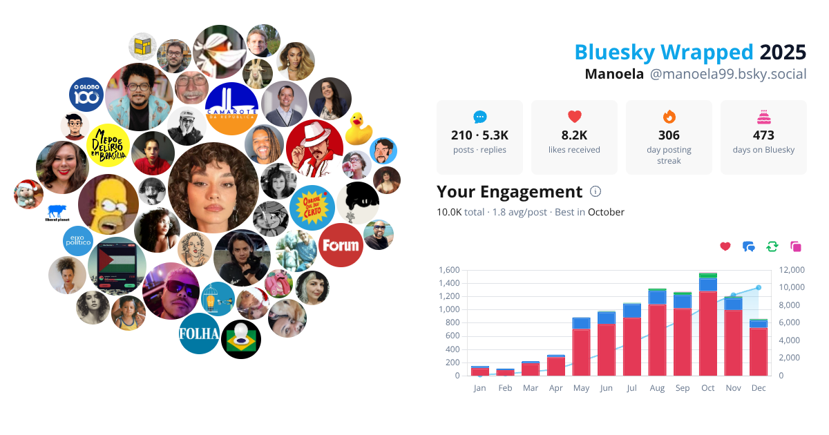 Your Bluesky Wrapped 2025 preview