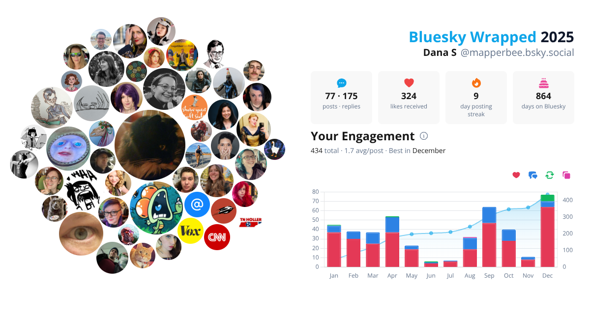 Your Bluesky Wrapped 2025 preview