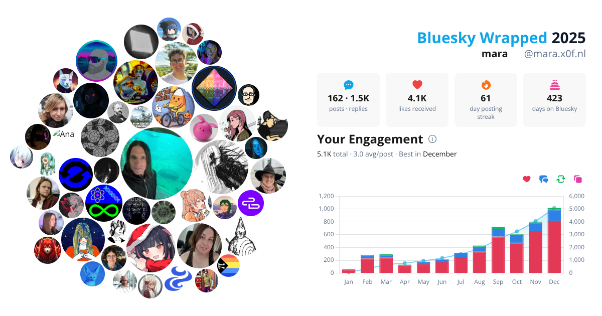 Your Bluesky Wrapped 2025 preview