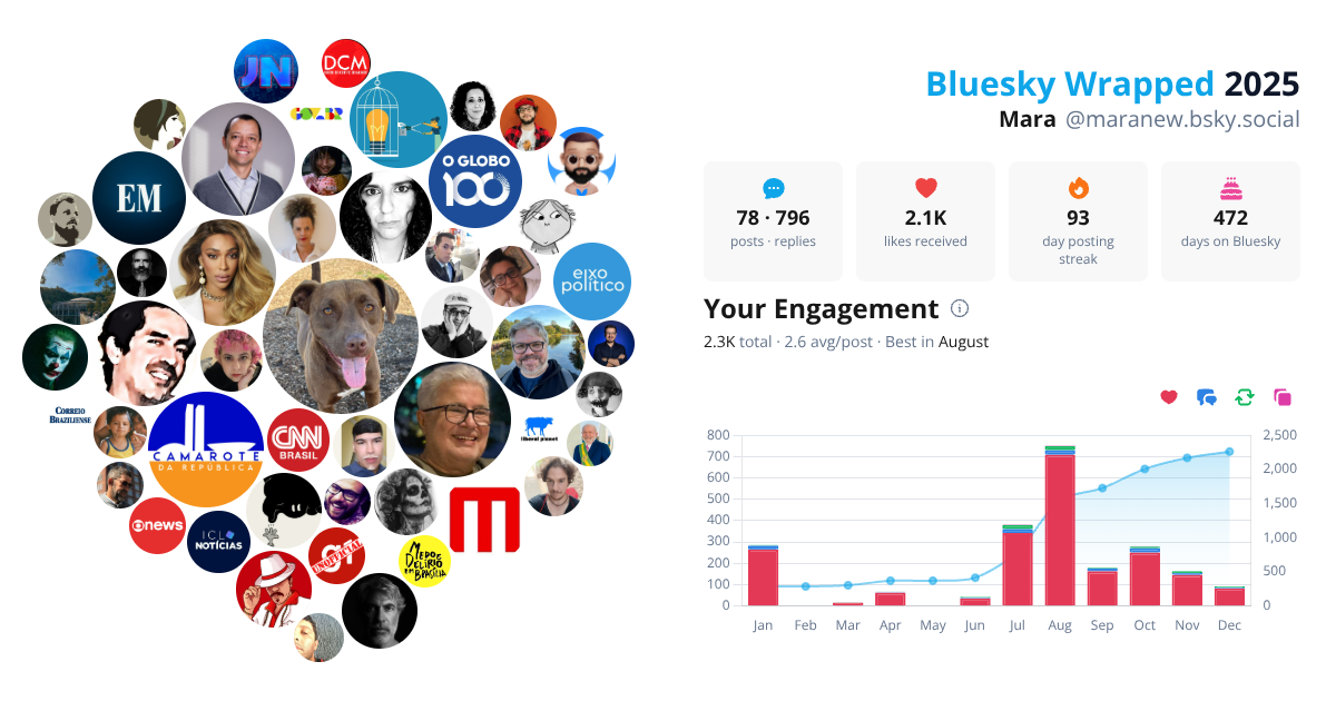 Your Bluesky Wrapped 2025 preview