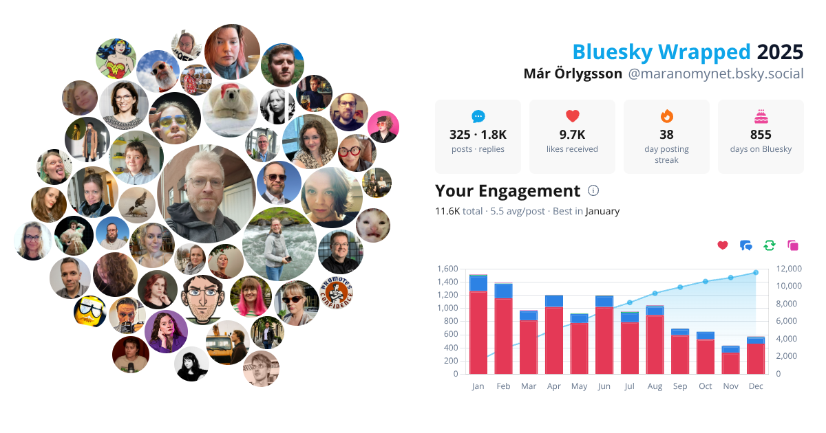 Your Bluesky Wrapped 2025 preview