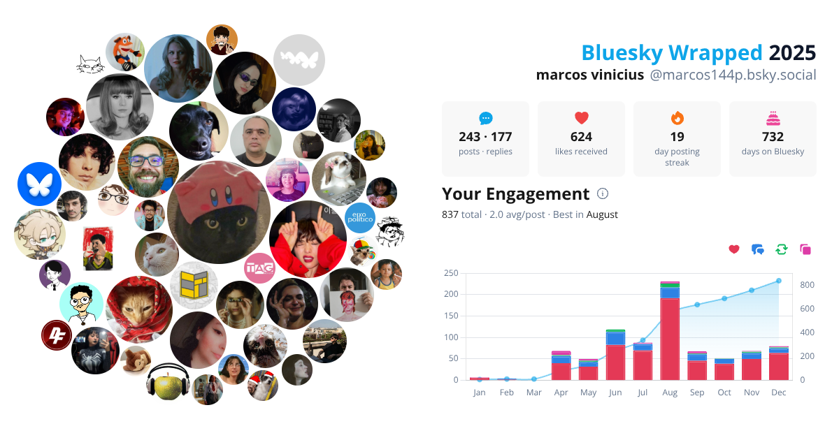 Your Bluesky Wrapped 2025 preview