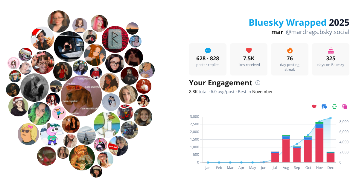 Your Bluesky Wrapped 2025 preview