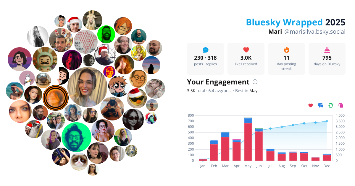 Your Bluesky Wrapped 2025 preview