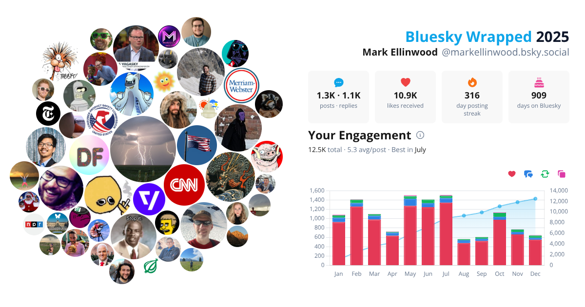 Your Bluesky Wrapped 2025 preview