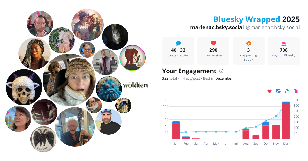 Your Bluesky Wrapped 2025 preview