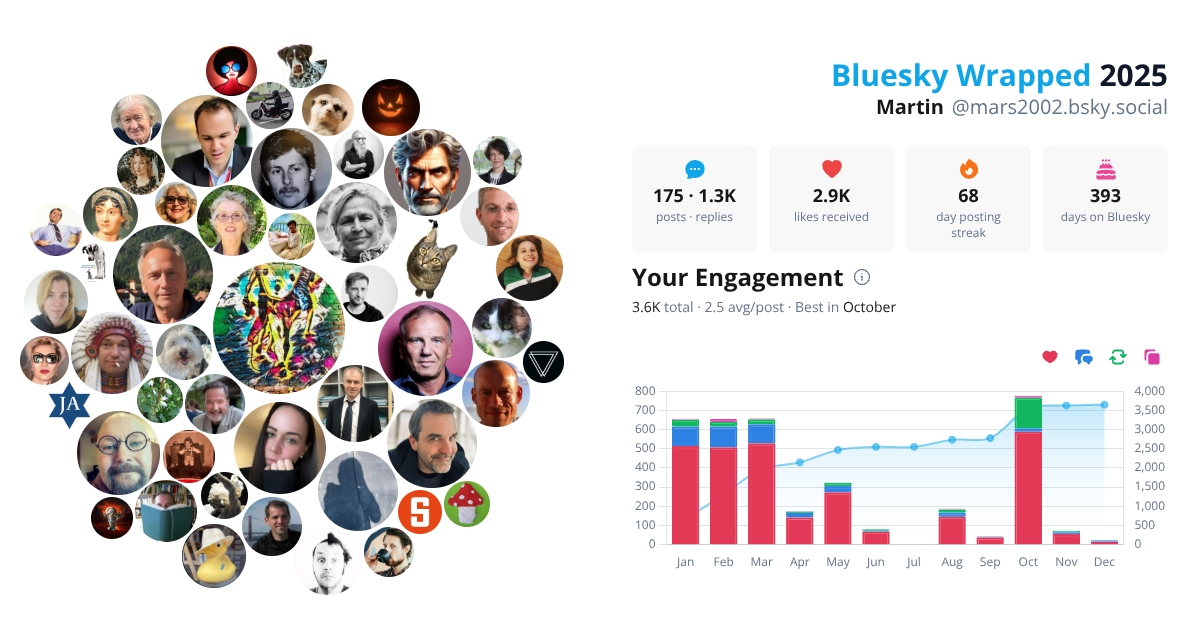 Your Bluesky Wrapped 2025 preview