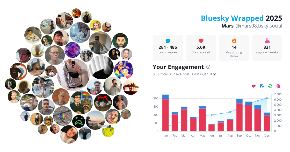 Your Bluesky Wrapped 2025 preview