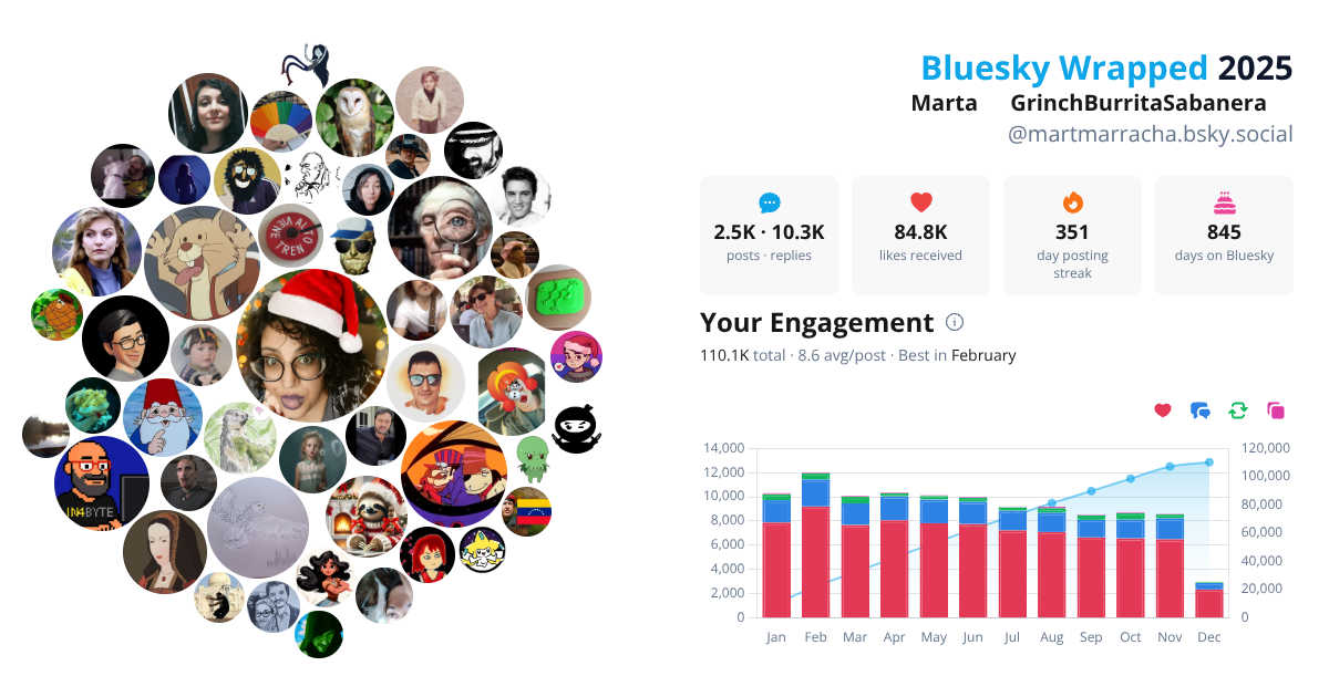 Your Bluesky Wrapped 2025 preview