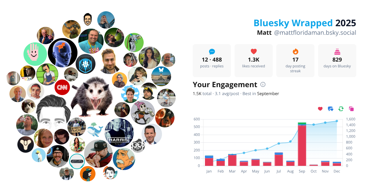 Your Bluesky Wrapped 2025 preview