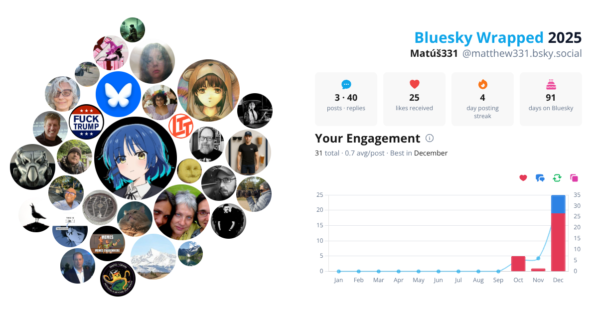 Your Bluesky Wrapped 2025 preview