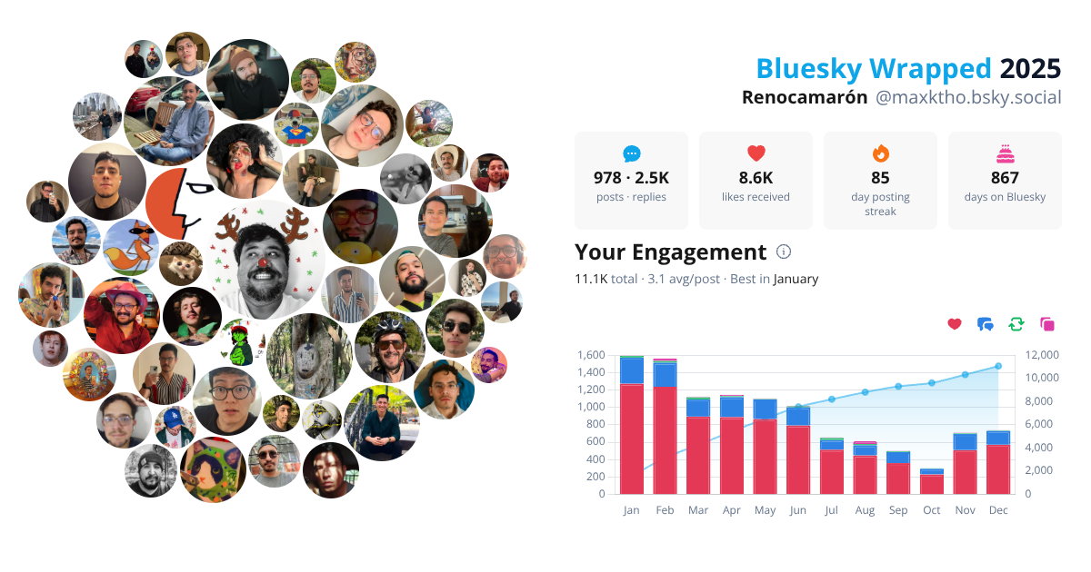 Your Bluesky Wrapped 2025 preview