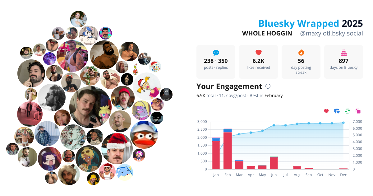 Your Bluesky Wrapped 2025 preview