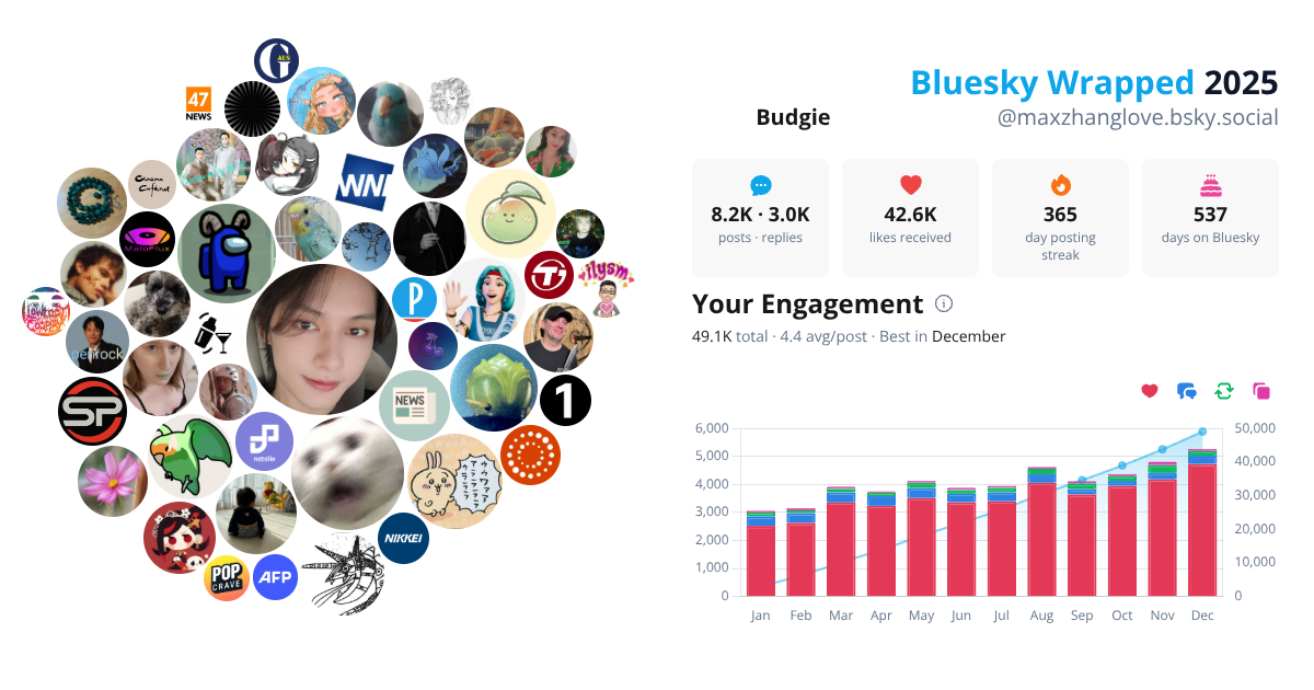 Your Bluesky Wrapped 2025 preview