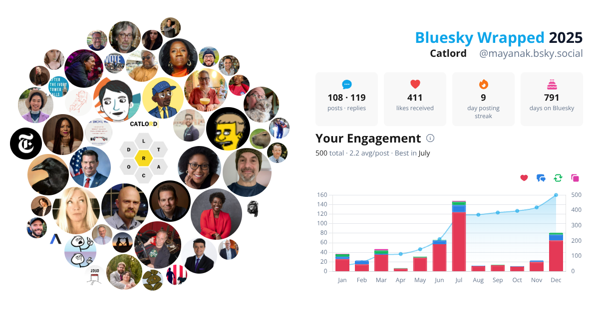 Your Bluesky Wrapped 2025 preview