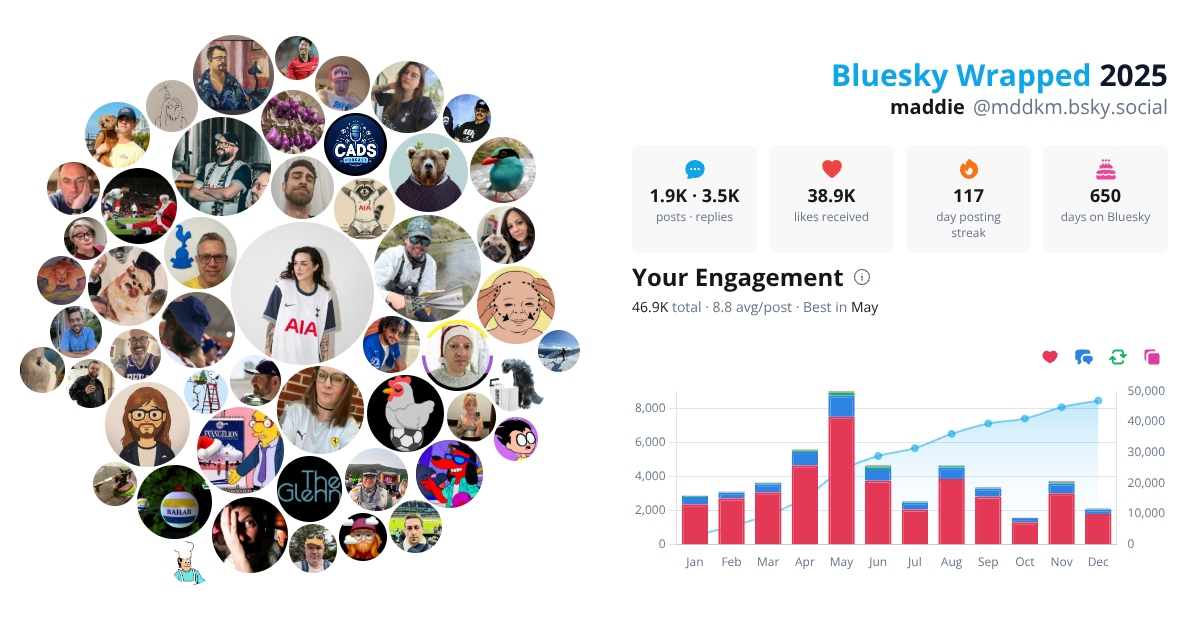 Your Bluesky Wrapped 2025 preview