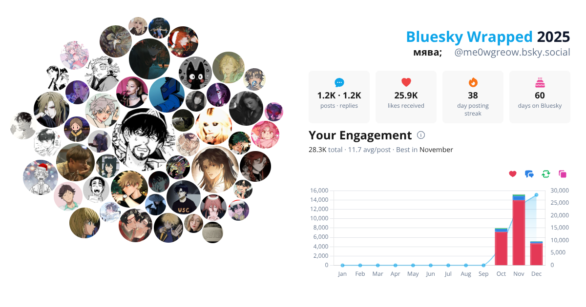Your Bluesky Wrapped 2025 preview
