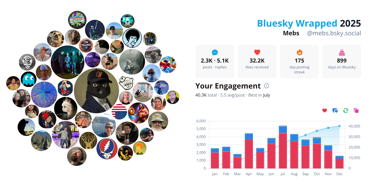 Your Bluesky Wrapped 2025 preview