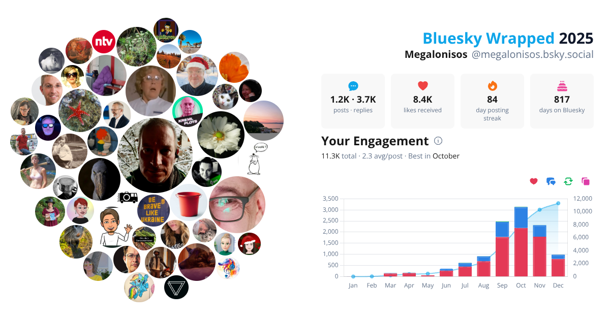 Your Bluesky Wrapped 2025 preview