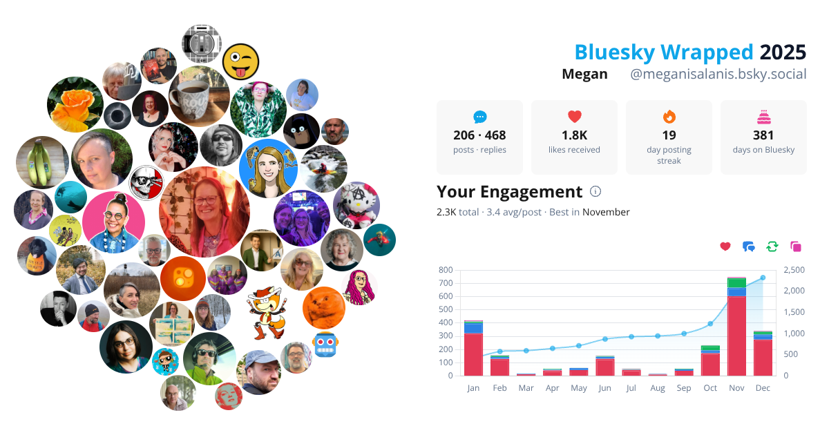 Your Bluesky Wrapped 2025 preview