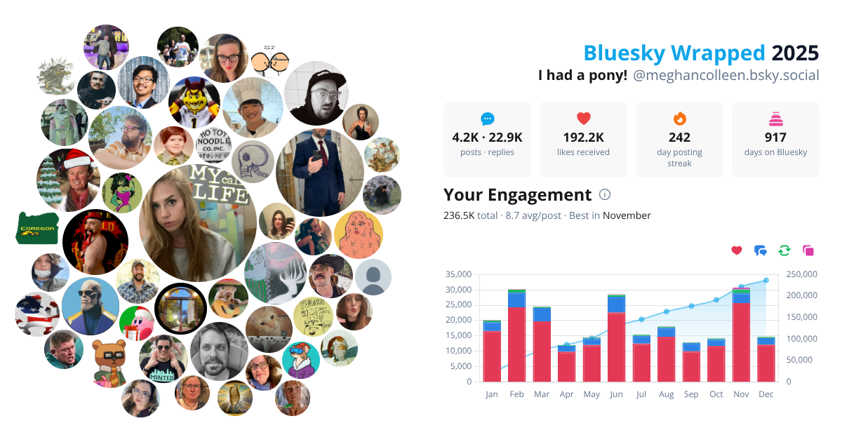 Your Bluesky Wrapped 2025 preview