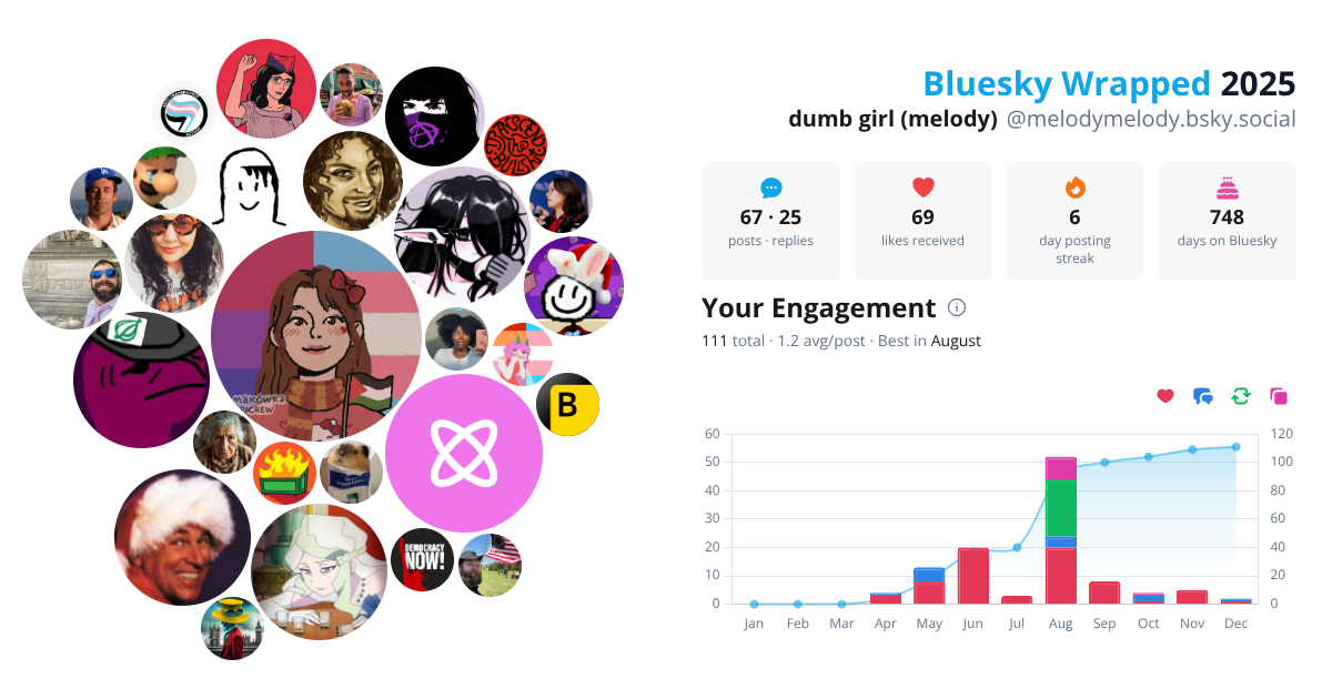 Your Bluesky Wrapped 2025 preview