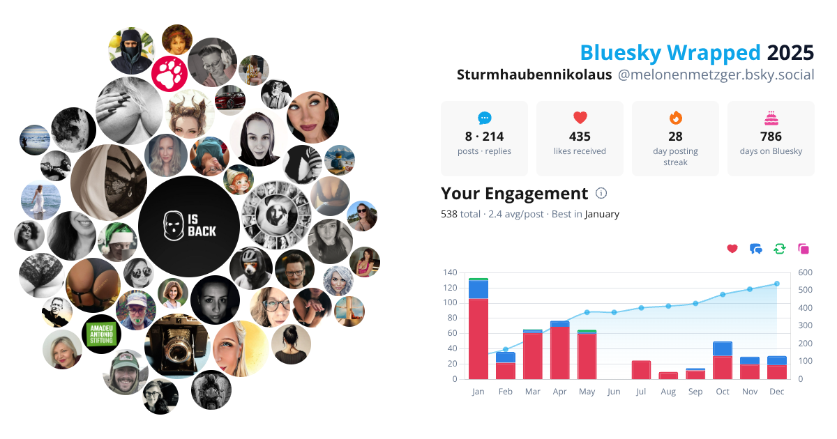 Your Bluesky Wrapped 2025 preview