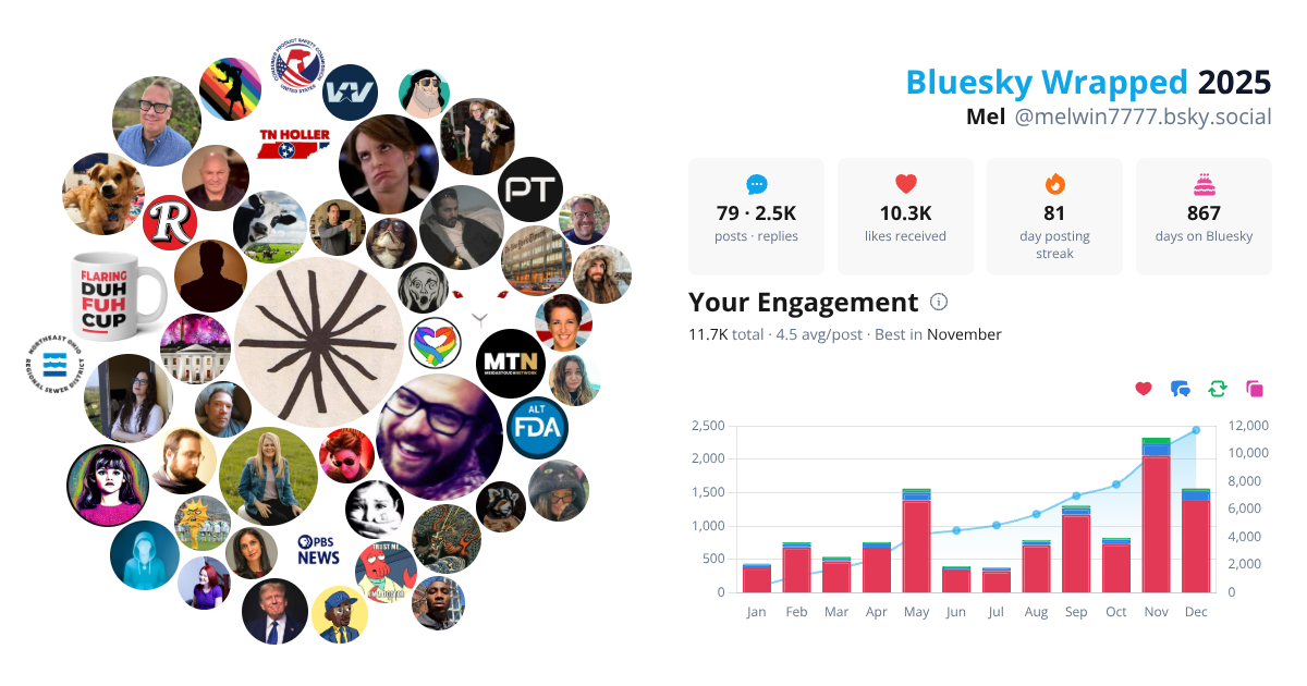 Your Bluesky Wrapped 2025 preview