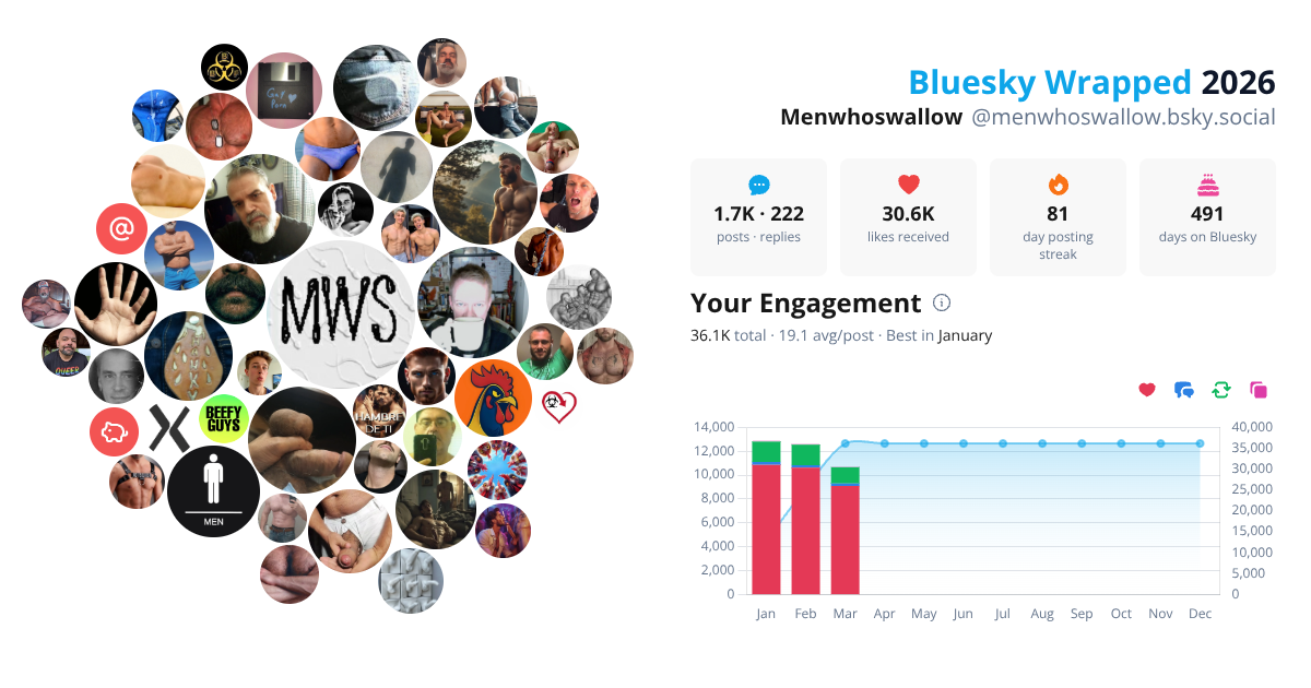 Your Bluesky Wrapped 2026 preview