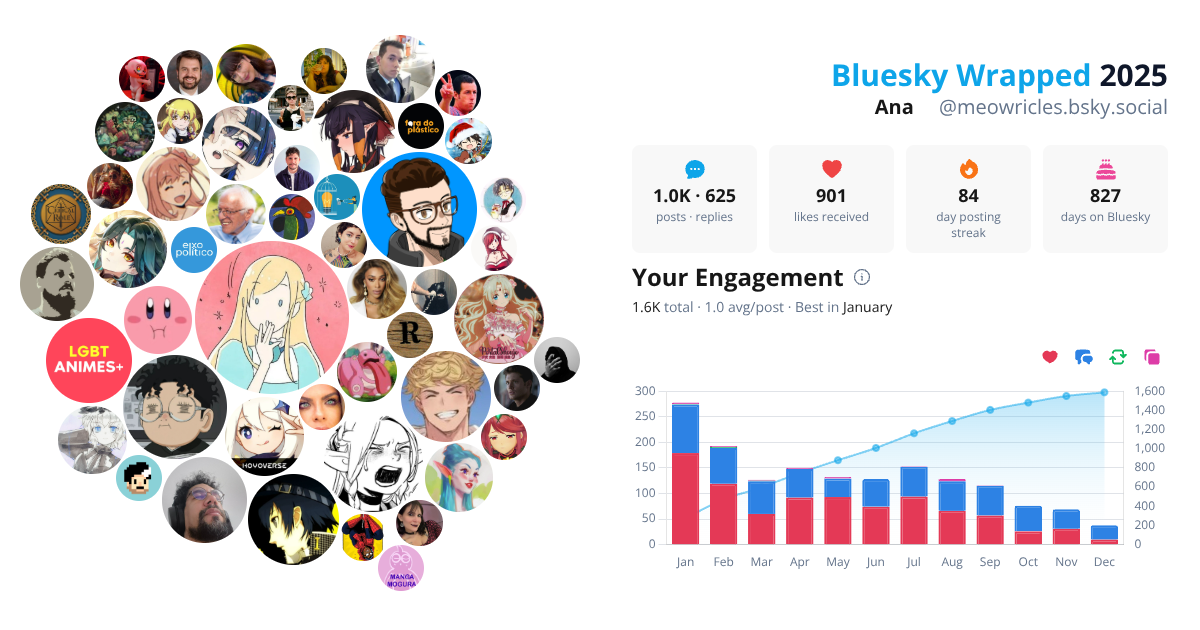 Your Bluesky Wrapped 2025 preview