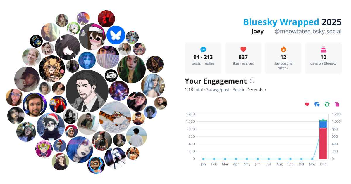 Your Bluesky Wrapped 2025 preview
