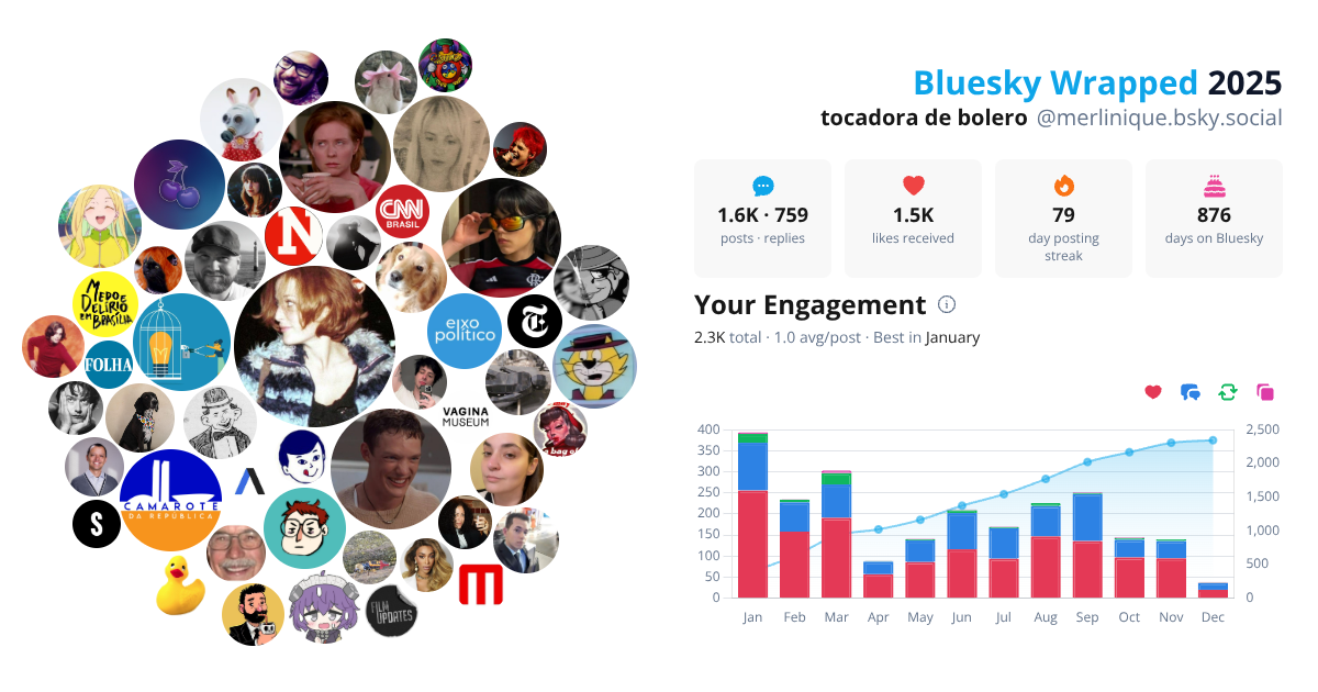 Your Bluesky Wrapped 2025 preview