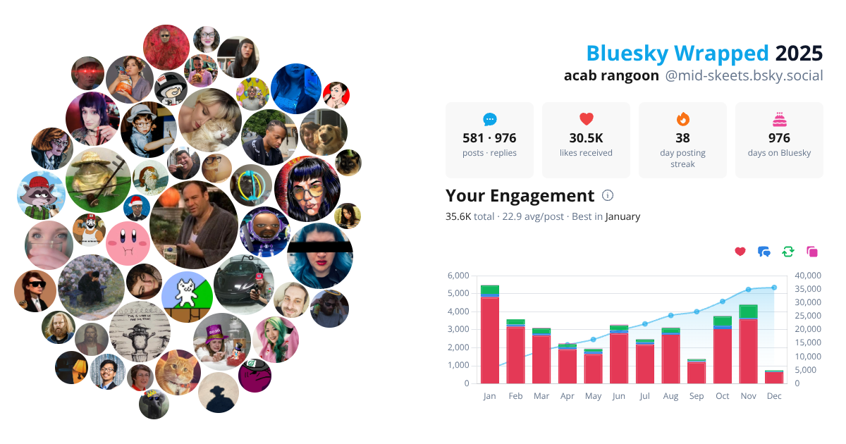 Your Bluesky Wrapped 2025 preview