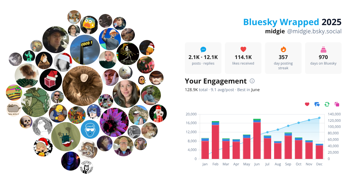 Your Bluesky Wrapped 2025 preview