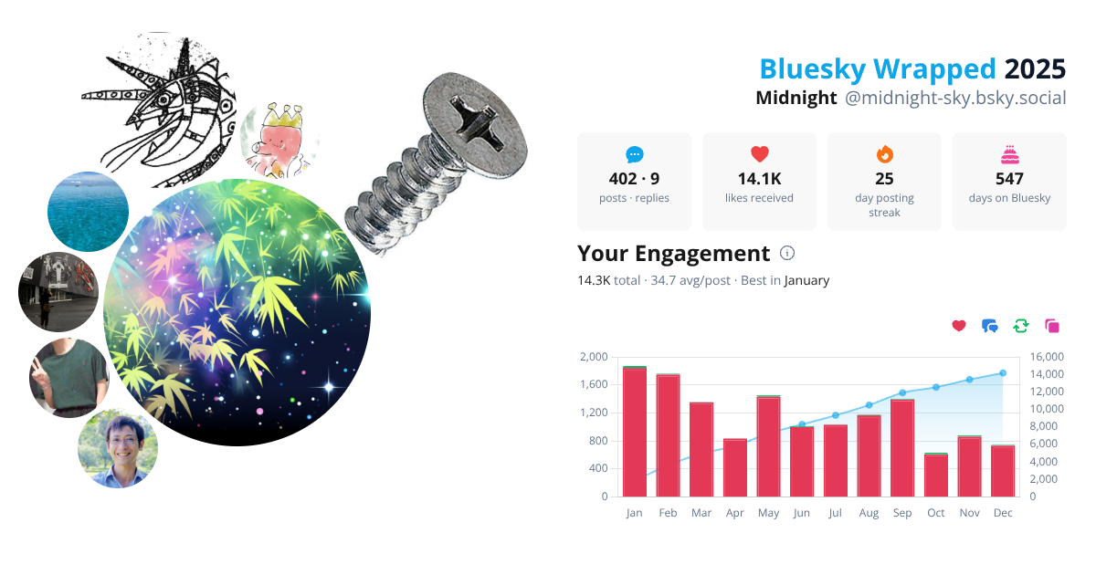 Your Bluesky Wrapped 2025 preview
