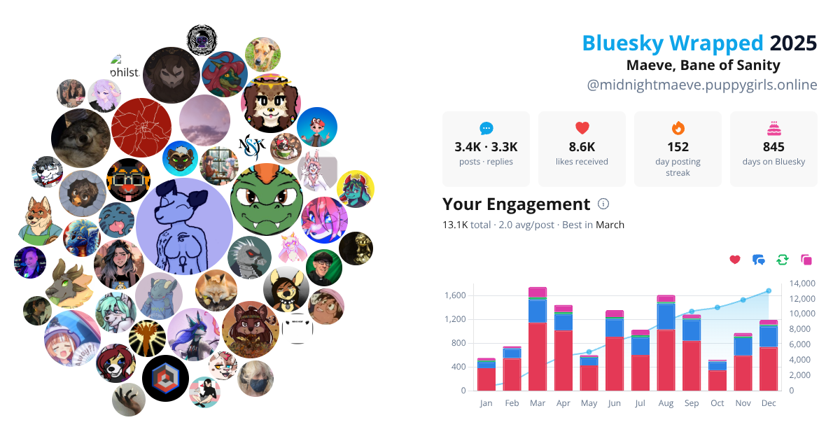 Your Bluesky Wrapped 2025 preview