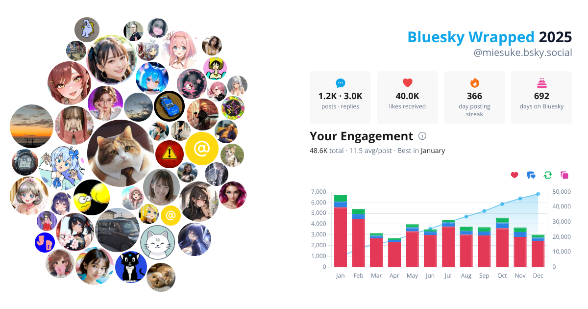 Your Bluesky Wrapped 2025 preview